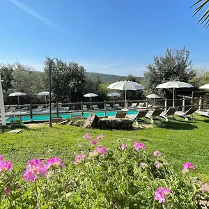 Serraiola Alta , Monterotondo (Tuscany) Italia